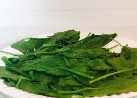 FullSizeRender 12.jpg